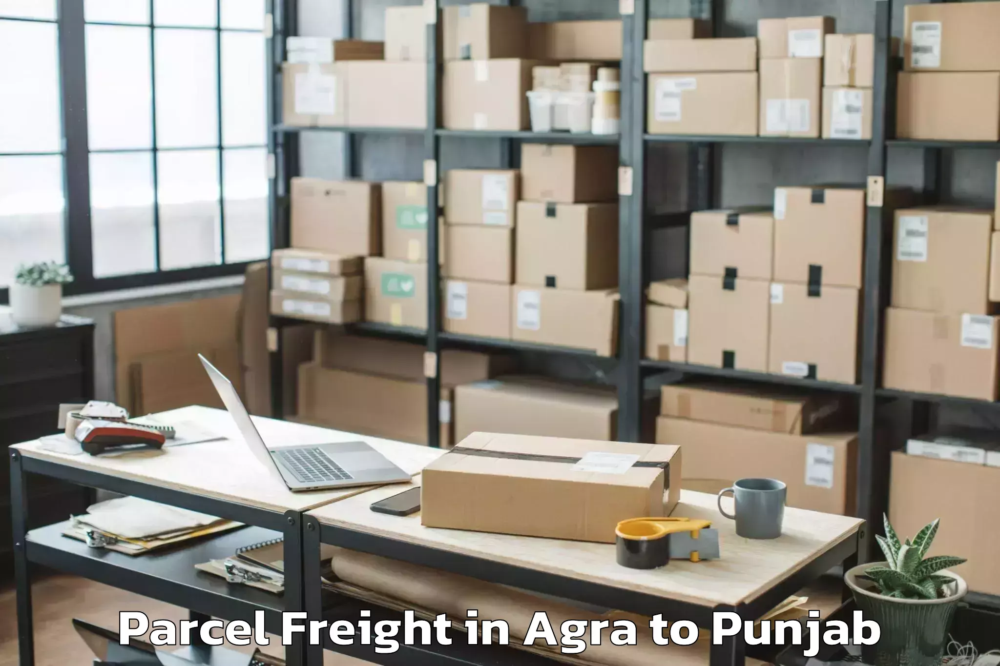 Reliable Agra to Gna University Phagwara Parcel Freight